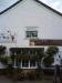 Picture of The Old Stag