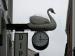 Picture of White Swan