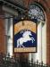 Picture of White Horse