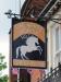 Picture of White Horse