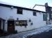 Picture of Yew Tree