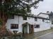Yew Tree picture