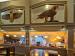 Picture of The Eagle