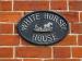 Picture of White Horse