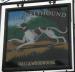 Picture of Greyhound