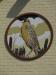 Picture of Meadowlark
