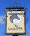 Picture of The Little Owl