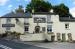 Picture of Royal Oak