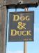 Picture of The Dog & Duck