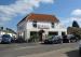 Picture of Golden Lion