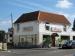 Picture of Golden Lion