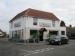 Picture of Golden Lion