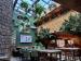 Picture of Treehouse