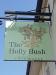 Picture of The Holly Bush