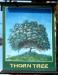 Picture of Thorn Tree