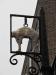 Picture of The Golden Fleece
