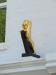 Picture of The Golden Lion