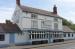 The Lime Tree