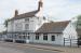 The Lime Tree picture