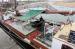 Picture of Albatros