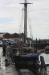Picture of Albatros