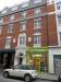 Picture of Golden Lion
