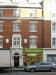 Picture of Golden Lion