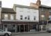 Picture of Golden Lion