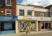 Picture of Golden Lion