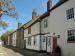 Picture of Bulls Head