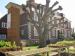 Picture of Salutation