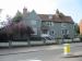 Picture of Royal Oak