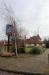 Picture of Golden Jubilee