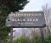 Picture of Black Bear (JD Wetherspoon)