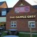 Picture of The Dapple Grey