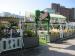 The Botanist picture