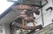 Picture of The Flying Pig
