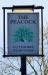Picture of The Peacock