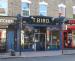 Picture of T. Bird