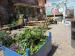 Picture of The Botanical Gin Garden