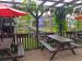 Picture of The Walnut Tree