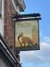 Picture of The Fox