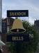 Picture of The Shandon Bells