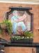 Picture of Jolly Sailor