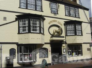 Picture of The Golden Lion