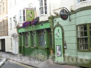 Picture of Mucky Duck