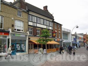 Picture of Bar Citrus
