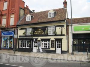 Picture of The Golden Pheasant
