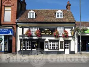 Picture of The Golden Pheasant