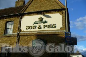 Picture of Sow & Pigs